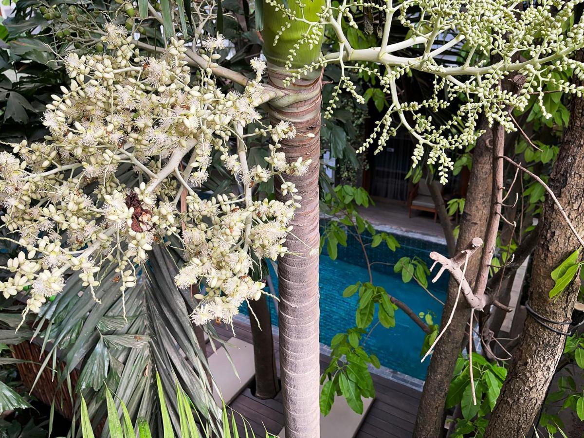 Sarina Boutique Hotel