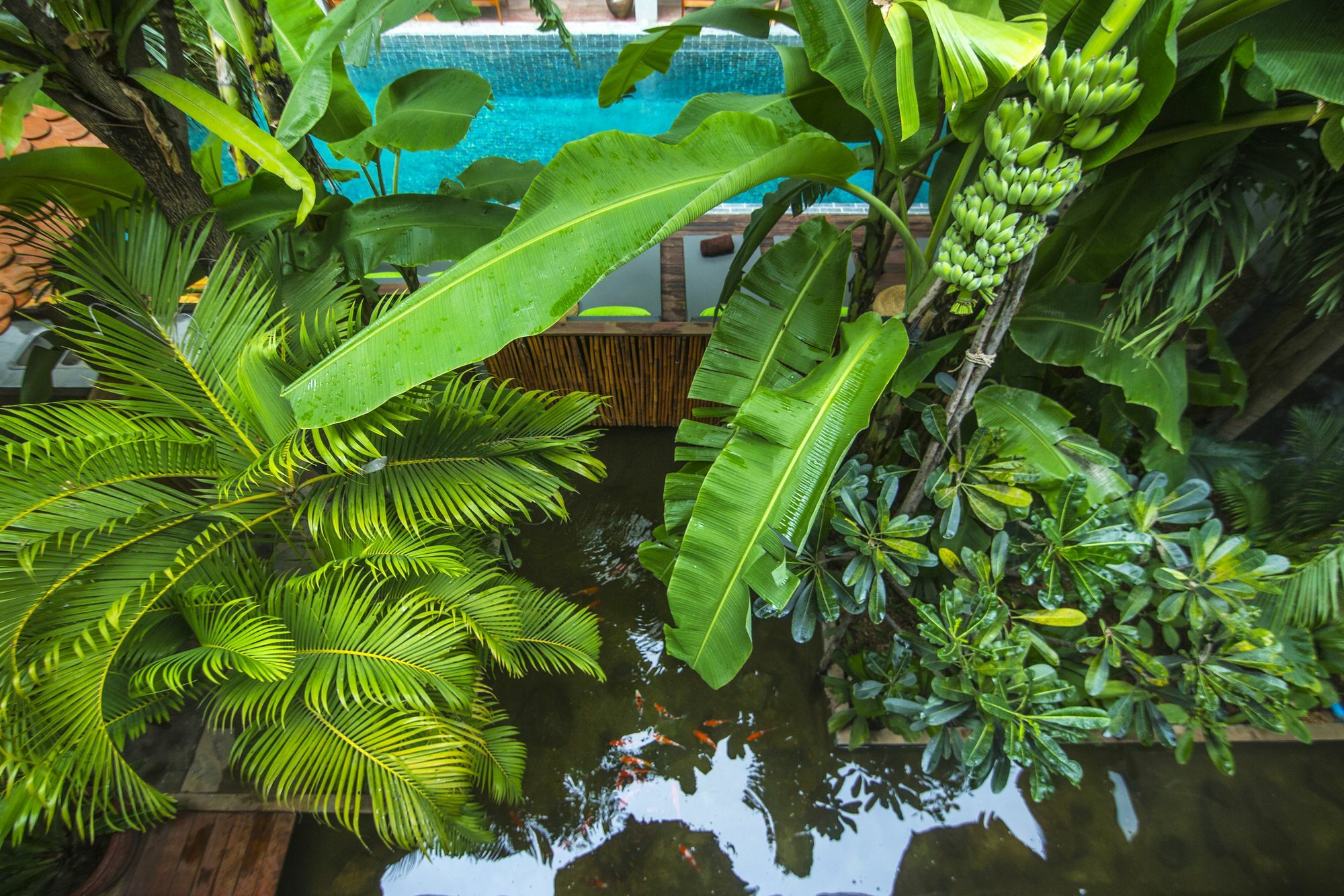 Sarina Boutique 4* Phnom Penh